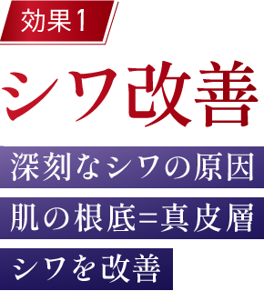 「効果1：シワ改善」深刻なシワの原因 肌の根底=真皮 シワを改善
