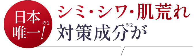 日本唯一!シミ・シワ・肌荒れ対策成分が