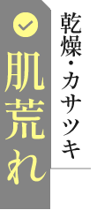 乾燥・カサツキ 肌荒れ