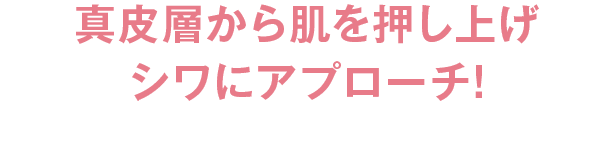 真皮層から肌を押し上げシワにアプローチ!