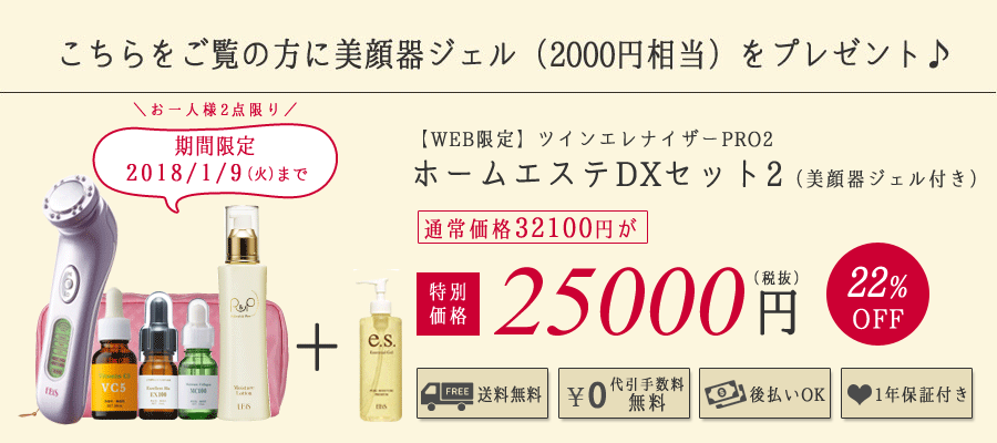 ツインエレナイザーPRO2
ホームエステDXセット2(美顔器ジェル付き) 25000円(税抜)