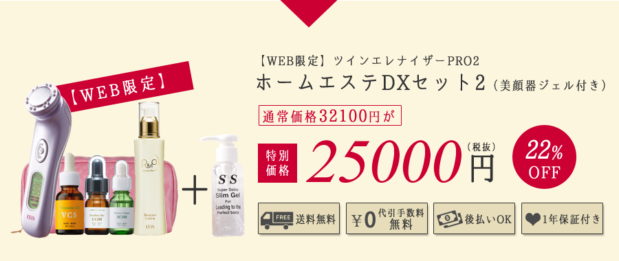 ツインエレナイザーPRO2
ホームエステDXセット2(美顔器ジェル付き) 25000円(税抜)
