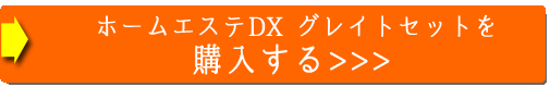 ホームエステDX グレイトセットを購入する