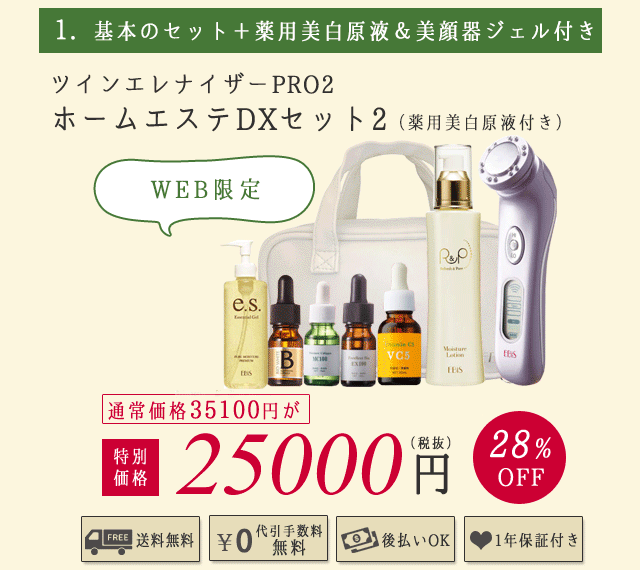 エビス　ツインエレナイザー　ホームエステDX 美顔器