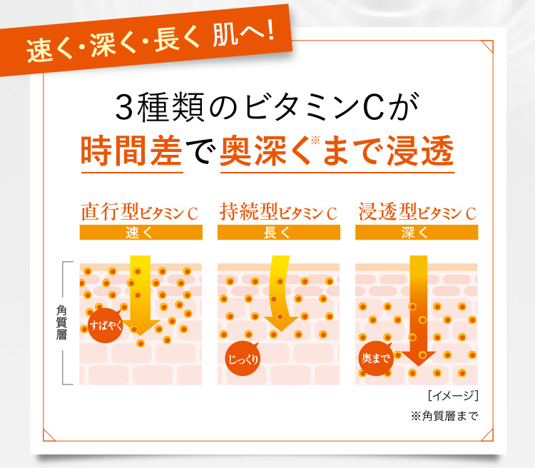 ３種類のビタミンCが時間差で奥深くまで浸透
