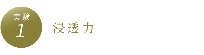 実験1　浸透力