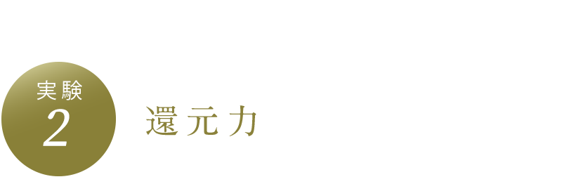実験2 還元力