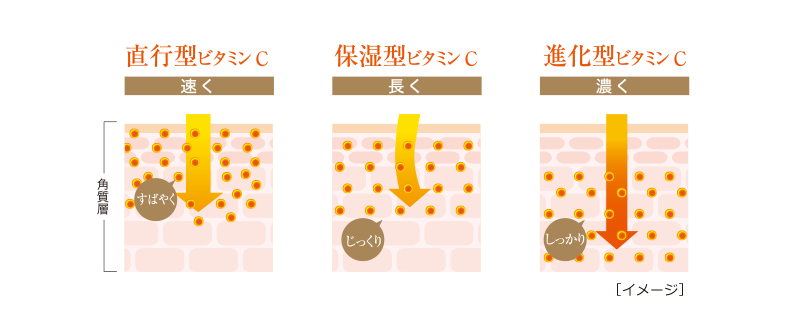 直行型ビタミンC 速く／保湿型ビタミンC　長く／進化型ビタミンC　濃く