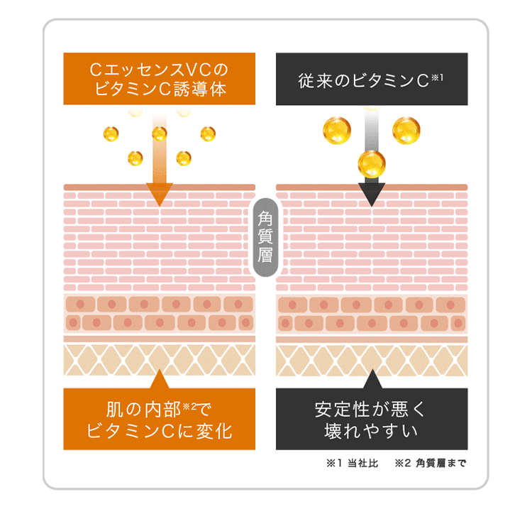 CエッセンスVCのビタミンC誘導体／従来のビタミンC