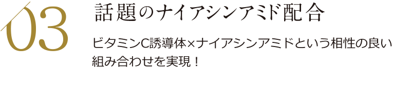 03　話題のナイアシンみ
