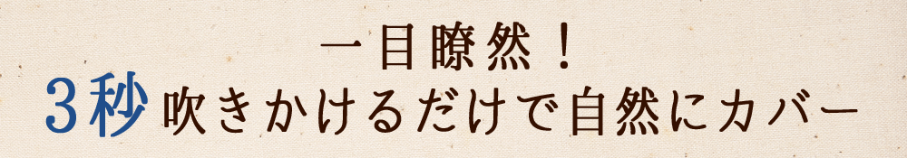 一目瞭然!3秒吹きかけるだけで自然にカバー